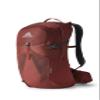 Gregory Citro 24L H2O Unisex Day Hiking/Backpacking Hydration Backpack with Included Reservoir, Breathable Backpanel and Shoulder Harness, One Size Fits All, Brick Red view 1