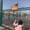 Basketball Rim Portable Mini Basketball Hoop, 31cm/12 Foldable Basketball Board, Indoor and Outdoor Wall-Mounted Basketball Hoop (Color : Style6) view 2