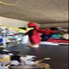 FurryMascot Eagle Birds Red Cardinals Suit Animal Mascot Costume Party Carnival Mascotte Costumes view 1