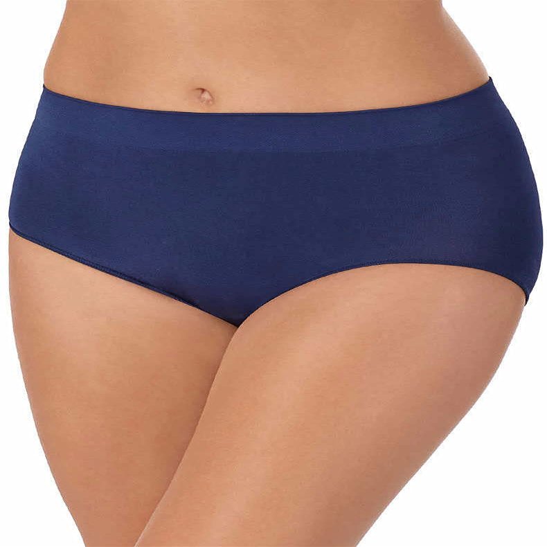 Carole Hochman Ladies' Seamless Brief, 5-pack (Blue, Large)
