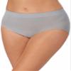 Carole Hochman Ladies' Seamless Brief, 5-pack (Blue, Large) view 2