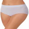 Carole Hochman Ladies' Seamless Brief, 5-pack (Blue, Large) view 3