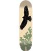 Meow Torres Nopales Deck - 8.0 - (Bundled with Free 1" Hardware Set) view 1