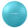 Trideer Extra Thick Yoga Ball Exercise Ball, 5 Sizes Ball Chair, Heavy Duty Swiss Ball for Balance, Stability, Pregnancy and Physical Therapy, Quick Pump view 1