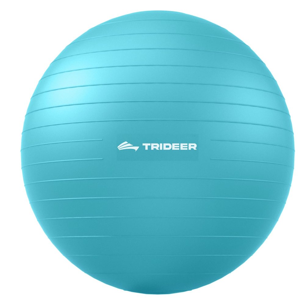 Trideer Extra Thick Yoga Ball Exercise Ball, 5 Sizes Ball Chair, Heavy Duty Swiss Ball for Balance, Stability, Pregnancy and Physical Therapy, Quick Pump