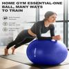 Trideer Yoga Ball for Exercise, Pregnancy & Birthing, 5 Sizes Exercise Ball for Physical Therapy, Stability, Fitness, Quick Pump Included view 3