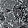 Cufflinks Inc. Vader Paisley Grey Men's Tie view 4