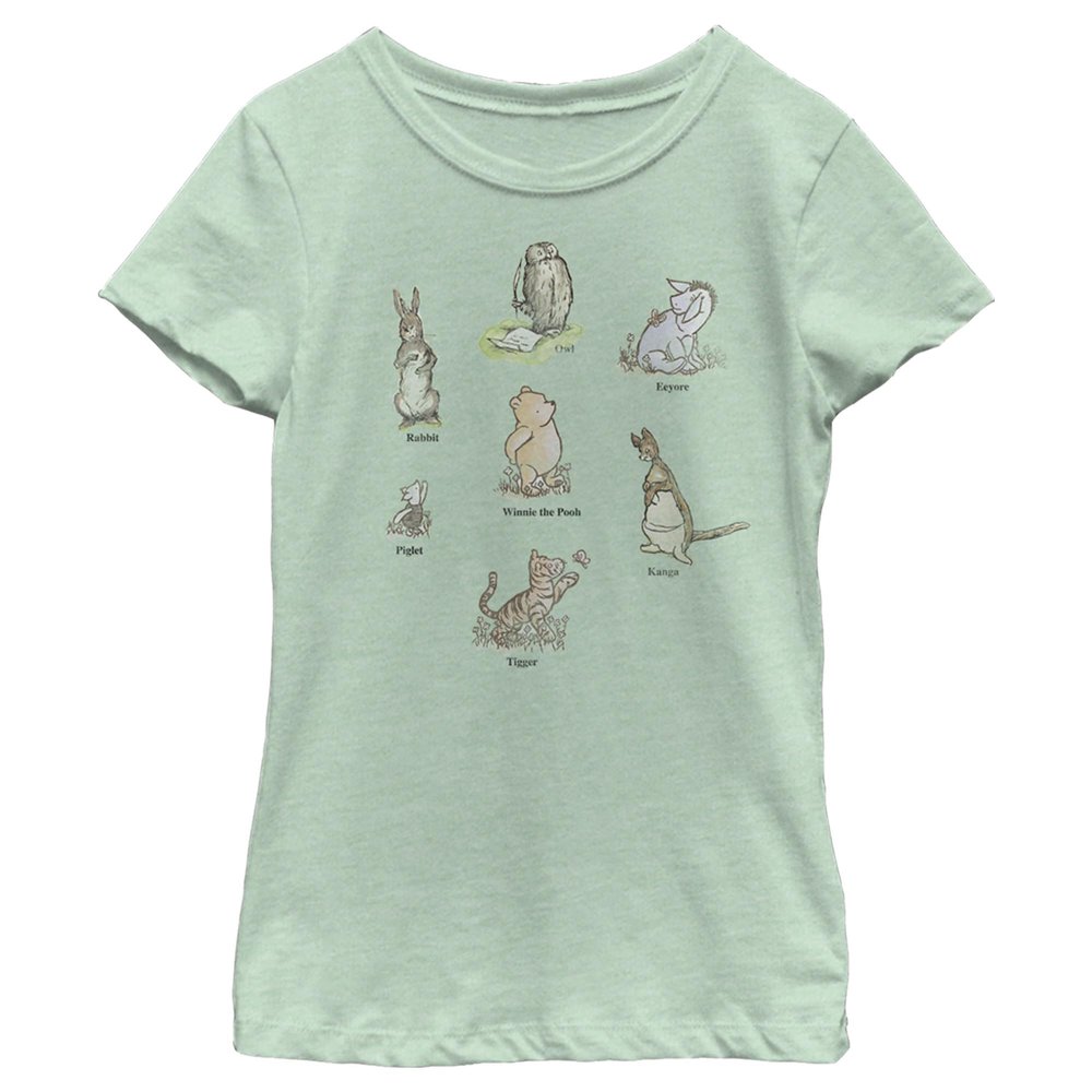 Disney Winnie The Pooh Winnie Poster Girl's Heather Crew Tee Mint