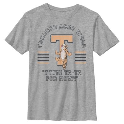 Boy's Winnie The Pooh Collegiate Tigger T-Shirt - Athletic Heather - Large