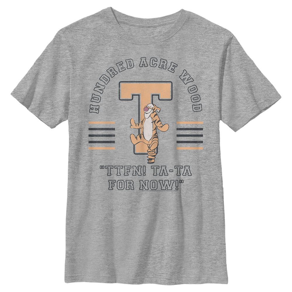 Boy's Winnie The Pooh Collegiate Tigger T-Shirt - Athletic Heather - Large