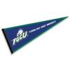 Florida Gulf Coast Eagles Pennant view 1