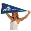Florida Gulf Coast Eagles Pennant view 4