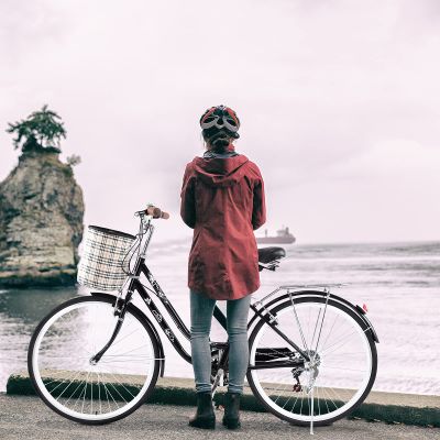 Amebee Delivery Package Debt for Cover Re-Pay Classic Retro Bicycle Engine RMA Shipping Service and Maintenance