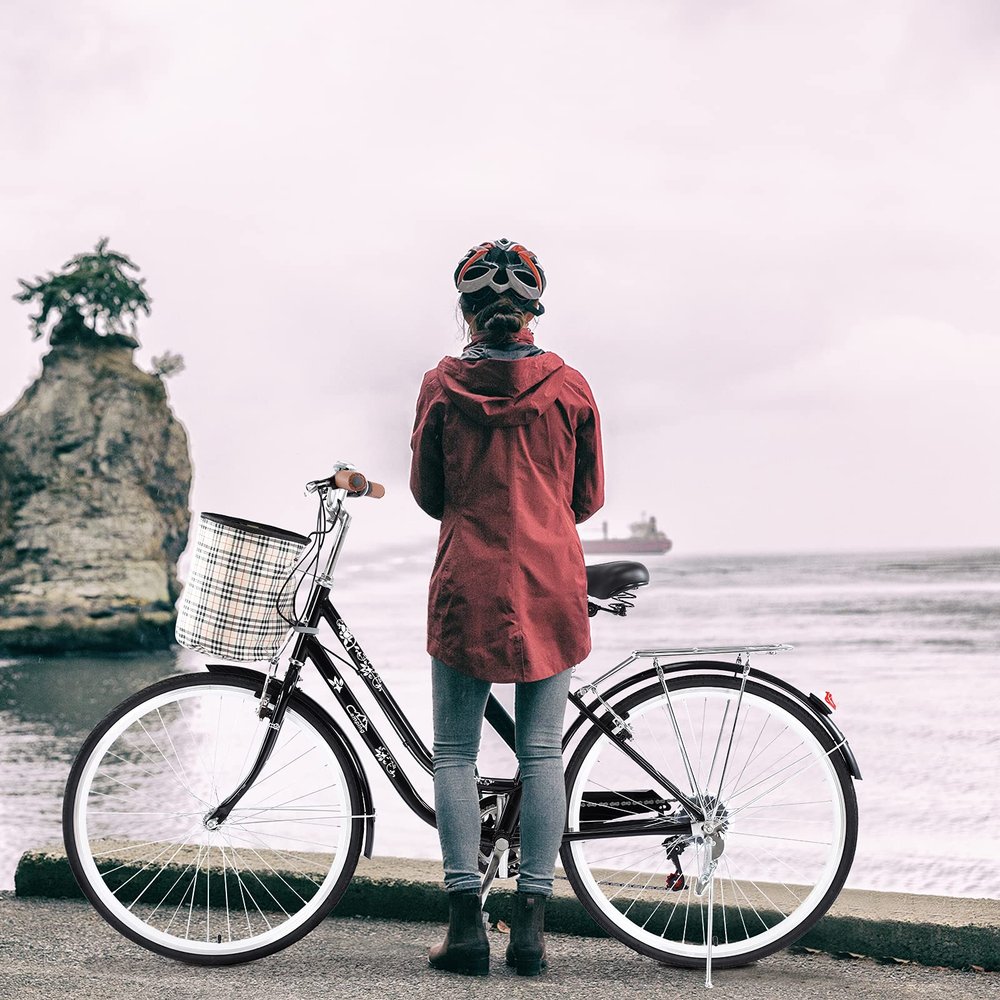 Amebee Delivery Package Debt for Cover Re-Pay Classic Retro Bicycle Engine RMA Shipping Service and Maintenance