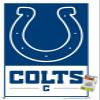 Trends International NFL Indianapolis Colts - Logo 21 Wall Poster, 22.37" x 34.00", Premium Poster & Push Pin Bundle view 1
