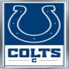 NFL Indianapolis Colts - Logo 21 Wall Poster, 34L" x 22.4W", Silver Framed Version view 1