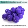 HPWFHPLF Tennis Balls, 15 Pack Practice Tennis Ball for Beginners, Training Playing Tennis Balls for Dogs, Come with Mesh Carry Bag (Purple) view 4