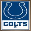 NFL Indianapolis Colts - Logo 21 Wall Poster, 34L" x 22.4W", Bronze Framed Version view 1