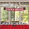 Arkansas Razorbacks Banner String Pennant Flags view 2
