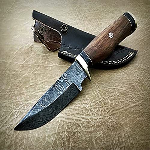 Damascus steel fixed blade knife with Leather sheath, round wood scale with brass finger guard and cap, 8 inches long skinning knife (Brown)
