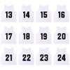 RE-HUO Set of 12 Numbered (13-24) Soccer Vests/Sport Pinnies/Training Bibs with Free Carry Bag(White13-24,XL) view 1