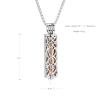 Oinsi Cremation Necklace for Ashes - Stainless Steel Cylinder Heart Pet Human Ashes Holder Keepsake Memorial Lockets Hollow Pendant Jewelry Women (Silver With Rose Gold) view 2