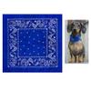 1 Royal Blue Scarf Paisley Bandana 100% Cotton Face Head Cover Wrap Neck Gaiter view 2