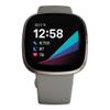 Fitbit Sense Advanced Smartwatch with Tools for Heart Health, Stress Management & Skin Temperature Trends, Sage Grey/Silver, One Size (S & L Bands Included) view 3