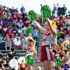 DILIBRA 24 Pcs Metallic Cheerleading Pom Poms, Cheerleaders Cheer Pom Poms with Baton Handle, Cheering Squad Hand Flower for Adults Team Spirit Sports Game Dancing Party (Green) view 4