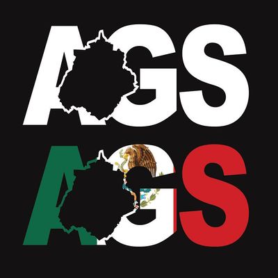 Aguascalientes Letters Decal Mexico AGS Sticker for Car Vinyl Decal Window Truck Car Bumper Sticker Motorcycle Mexican Flag, 6" 24"