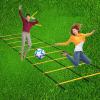 Agility Ladder Double-Row Flexible Agility Ladder, Speed Training Equipment, Football Sports Training Speed Ladde, for Rugby/Boxing/Tennis(Size:3m) view 2