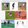 Agility Ladder Flexibility Agility Ladder, Cones Football Training Equipment, Speed Agility Training Set, for Indoor/Outdoor Personal Training(Size:3m) view 2