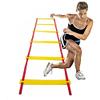 Agility Ladder Flexibility Agility Ladder, Cones Football Training Equipment, Speed Agility Training Set, for Indoor/Outdoor Personal Training(Size:3m) view 3
