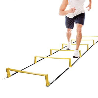 Agility Ladder Fixed Agility Ladder, Sports Fitness Speed Training Ladder,Training Equipment,for Athletic Footwork Sports Drills,with Bag(Size:2.3m)