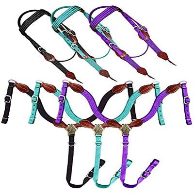 Showman Nylon Browband Headstall & Breast Collar Set w/Leather Accents (Teal), Average Full Size Horse