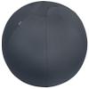Leitz Active Sitting Ball, Ergonomically Designed Desk Chair Alternative, 65cm Diameter, Includes Fabric Ball Cover, Hand Air Pump & 2 x Plugs, Ergo Cosy Range, Velvet Grey, 52790089 view 1