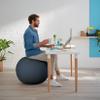 Leitz Active Sitting Ball, Ergonomically Designed Desk Chair Alternative, 65cm Diameter, Includes Fabric Ball Cover, Hand Air Pump & 2 x Plugs, Ergo Cosy Range, Velvet Grey, 52790089 view 2