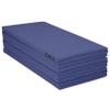 Z Athletic Folding Mat for Gymnastics, Tumbling, Cheerleading, and More, Blue, 4 Ft x 12 Ft x 2 In view 1