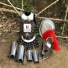 Nautical-Mart Medieval Roman King Leonidas 300 Spartan Helmet W/Red Plume + Muscle Body Armor Cuirass + Shield + Leg Or Arm Guard Silver Halloween Costume view 1