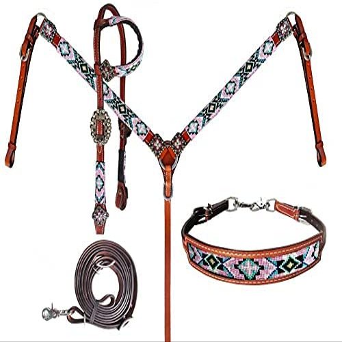 Showman Leather Headstall & Breast Collar Set w/Pastel Beaded Southwest Design