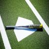 Easton | HAVOC Baseball Bat | USA | -10 | 2 1/4" Barrel | 29" view 2