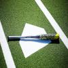 Easton | HAVOC Baseball Bat | USA | -10 | 2 1/4" Barrel | 27" view 2