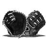 Rawlings | ENCORE Baseball First Base Glove | Left Hand Throw | 12" - Pro H-Web view 1
