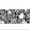 Country Brook Design - Phantom Skulls Polyester Webbing (1 Inch, 20 Yards) view 4