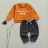 Madjtlqy Newborn Baby Boys Clothes Set Solid Color Long Sleeve Pullover Sweatshirt+Pants (Ginger, 6-12 Months) view 2