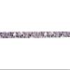 Country Brook Design - Phantom Skulls Photo Quality Polyester (1/2 Inch, 50 Yards) view 2