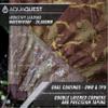 AquaQuest Defender Tarp  HeavyDuty Waterproof (20,000 mm) SeamTaped Rain Fly for Camping, Bushcraft & Survival  107 True Terrain Camo view 2