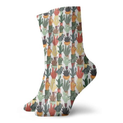 Cactus Funny Compression Socks Women and Men,Mexican Succulent In Pots Botanical Themed Illustration House Plant Arrangement,Best for Circulation,Running,Athletic,Nurse,Travel,Multicolor -12 inch