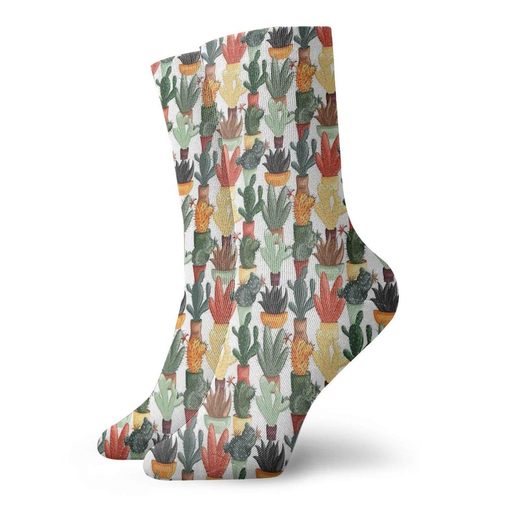 Cactus Funny Compression Socks Women and Men,Mexican Succulent In Pots Botanical Themed Illustration House Plant Arrangement,Best for Circulation,Running,Athletic,Nurse,Travel,Multicolor -12 inch