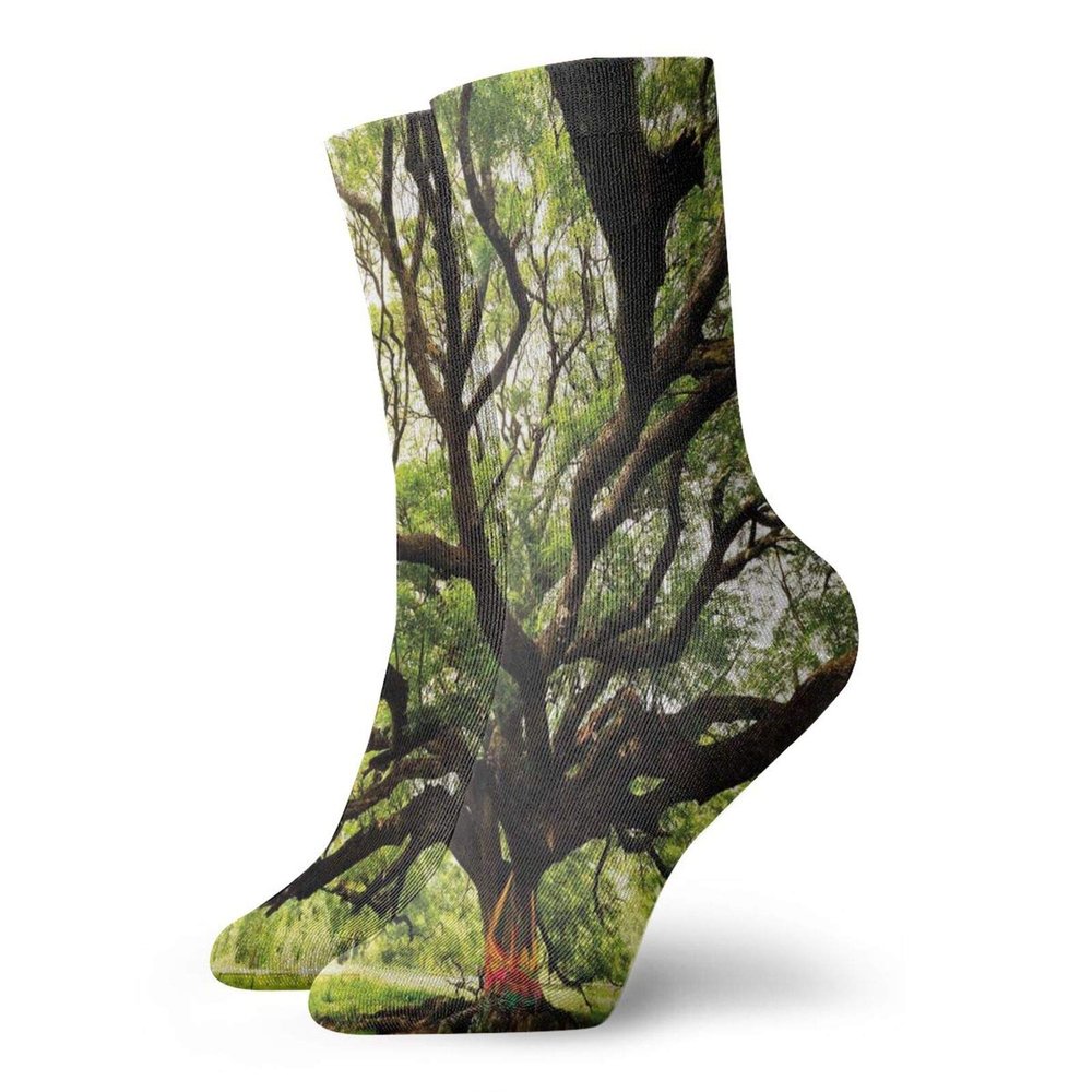 Nature Funny Compression Socks Women and Men,The Largest Monkey Pod Tree In Thailand Eastern Green Big Branches Growth Eco Photo,Best for Circulation,Running,Athletic,Nurse,Travel,Green Brown -12 inch